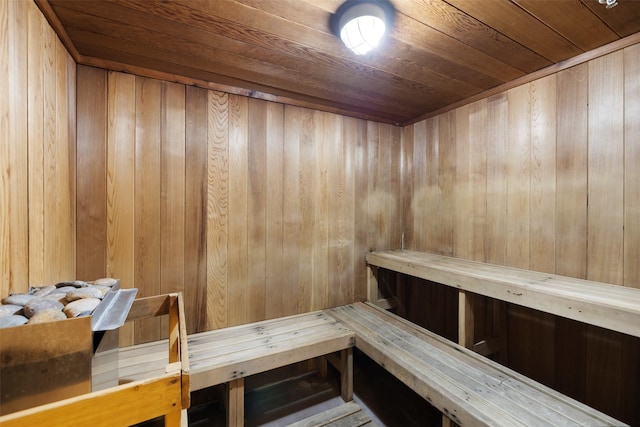 5925 Almeda Rd Unit 12314, Houston, TX 77004 - relaxing sauna featuring wood ceiling and wood walls