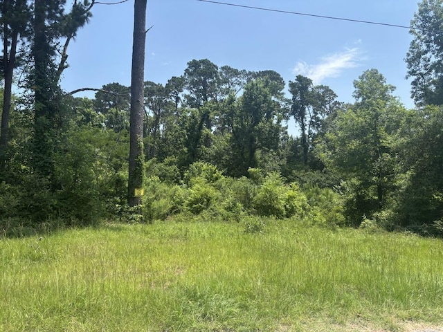 TBD Sam Houston Loop, Point Blank, TX 77364