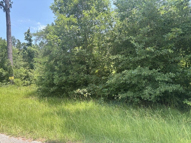 TBD Sam Houston Loop, Point Blank, TX 77364