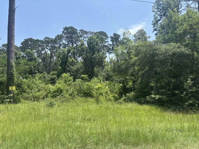 TBD Sam Houston Loop, Point Blank, TX 77364