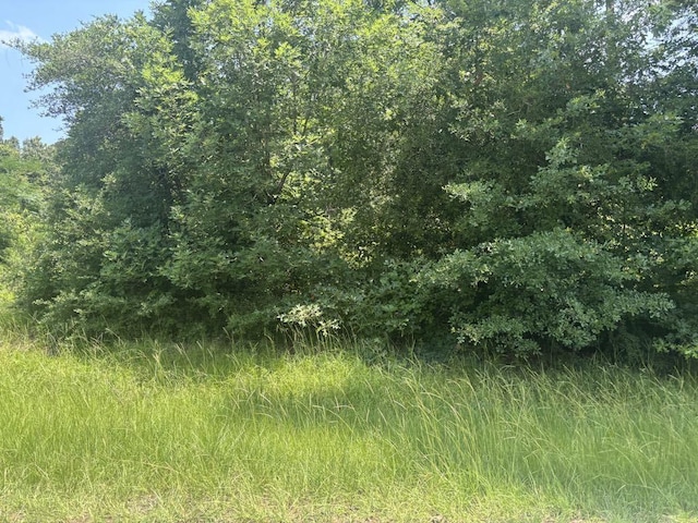 TBD Sam Houston Loop, Point Blank, TX 77364