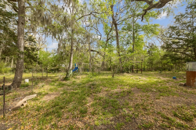 17968 County Road 426, Brazoria, TX 77422 - view of yard featuring a playground