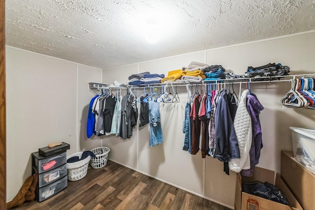 17968 County Road 426, Brazoria, TX 77422 - spacious closet with wood finished floors