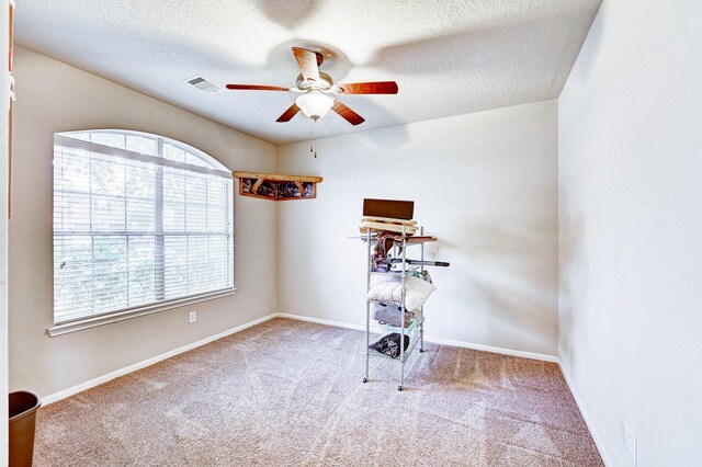 1752 Cypress Meadows Dr, Dickinson, TX 77539 - spare room with ceiling fan, plenty of natural light, carpet, baseboards, and a textured ceiling
