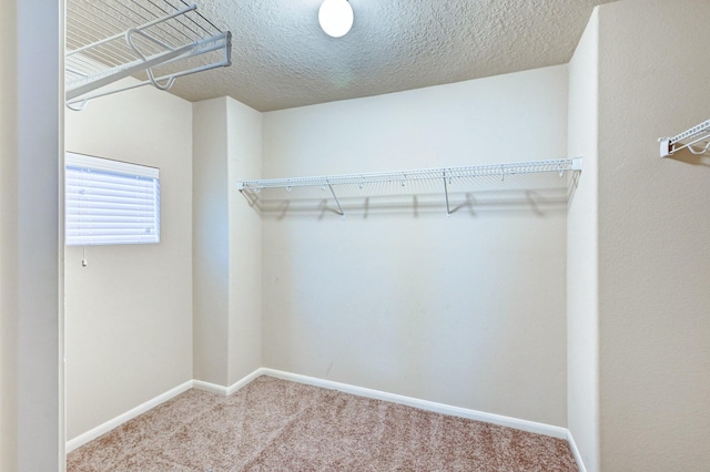 1752 Cypress Meadows Dr, Dickinson, TX 77539 - spacious closet with carpet flooring