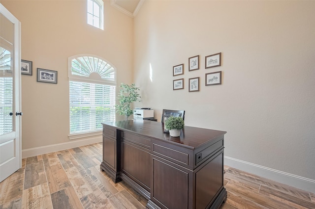27815 Carol Collier Ct, Katy, TX 77494 - home office featuring light wood-style flooring, high vaulted ceiling, and ornamental molding