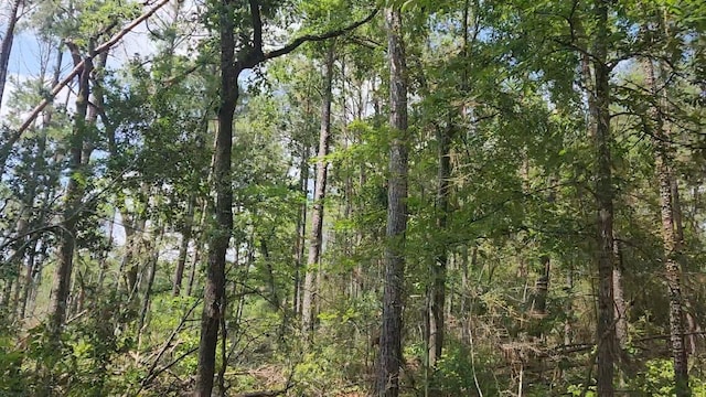 LOT33 Gum Tree Ln, Plantersville, TX 77363 - photo 1