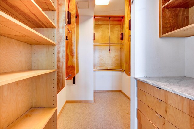 14 Greenway Plz Unit 19P, Houston, TX 77046 - walk in closet with carpet flooring