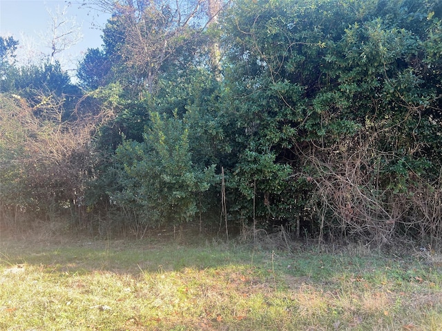 150 Lannie Blvd, Livingston, TX 77351 - photo 1
