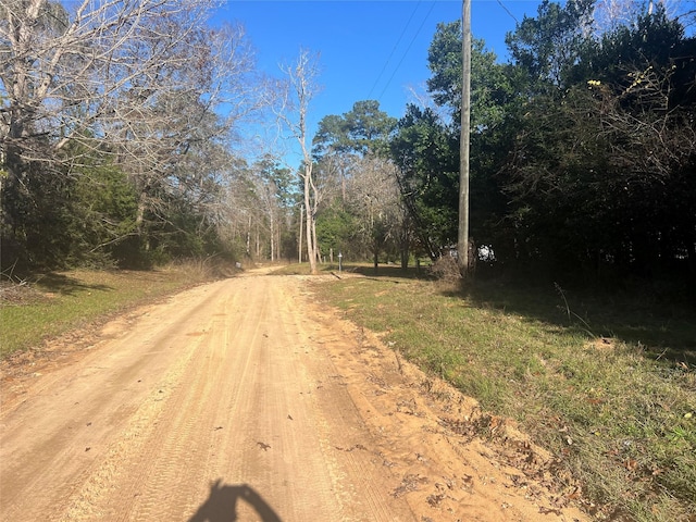 150 Lannie Blvd, Livingston, TX 77351 - photo 2