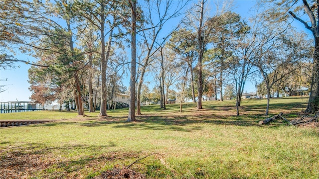 409 Wildwood Dr, Onalaska, TX 77360 - photo 26