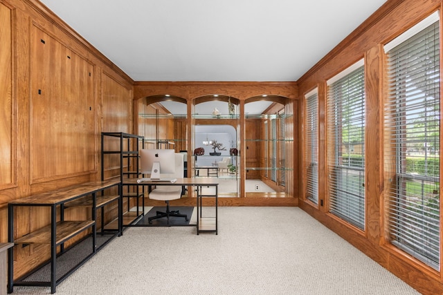 3815 Griffin Ln, Missouri City, TX 77459 - office space featuring carpet