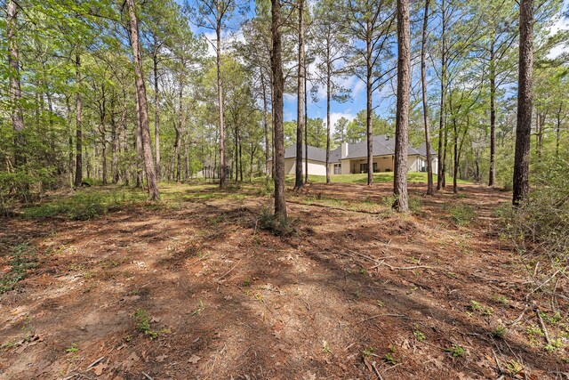 567 Lonestar Rd, Huntsville, TX 77340 - view of yard