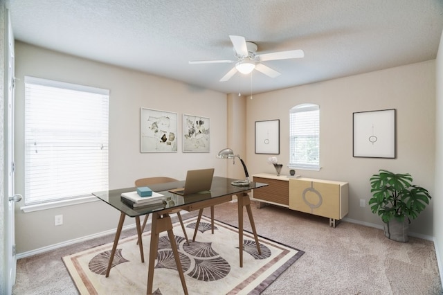 6763 Indian Ldg, San Antonio, TX 78253 - office space featuring light carpet, a ceiling fan, baseboards, and a textured ceiling