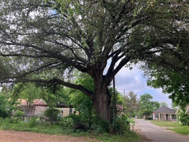204 E Dry St, San Saba, TX 76877 - view of yard