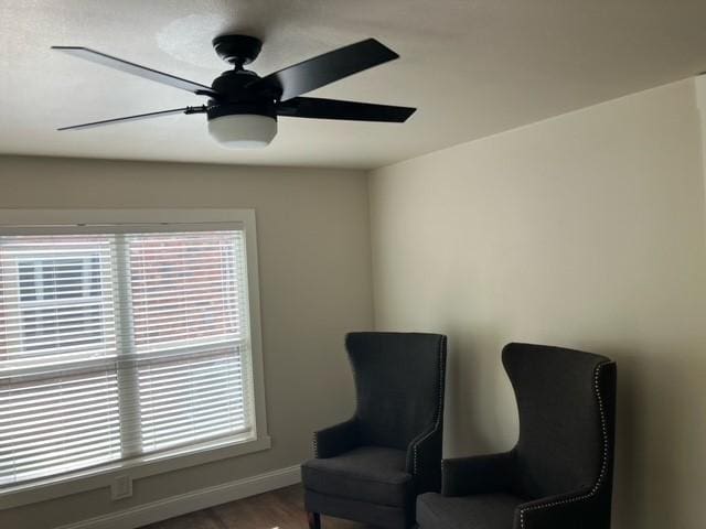 204 E Dry St, San Saba, TX 76877 - living area featuring healthy amount of natural light, baseboards, ceiling fan, and wood finished floors