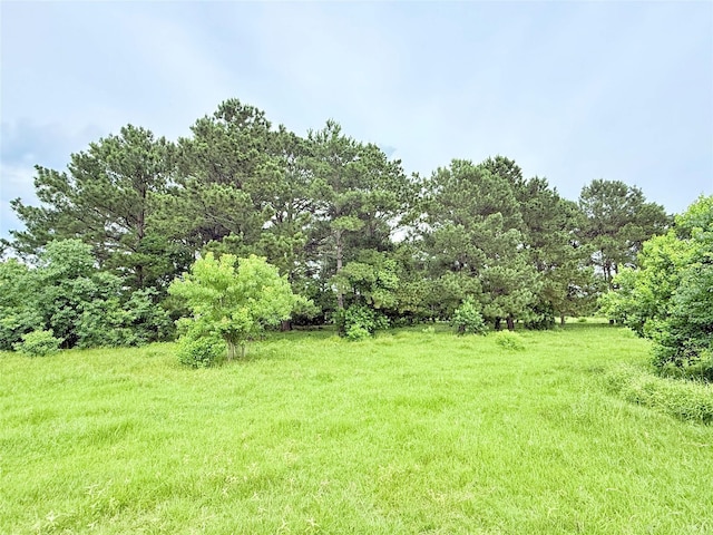 0 Binford Rd, Waller, TX 77484