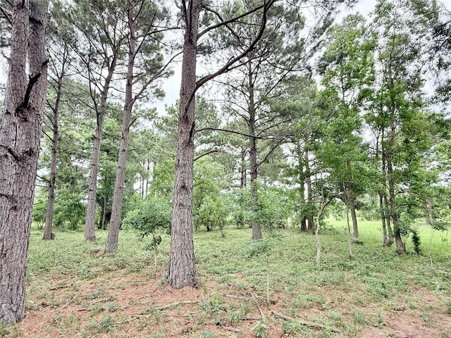 0 Binford Rd, Waller, TX 77484