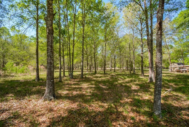 TBD Rainbow Ln, New Caney, TX 77357 - photo 6