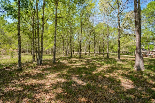 TBD Rainbow Ln, New Caney, TX 77357 - photo 7
