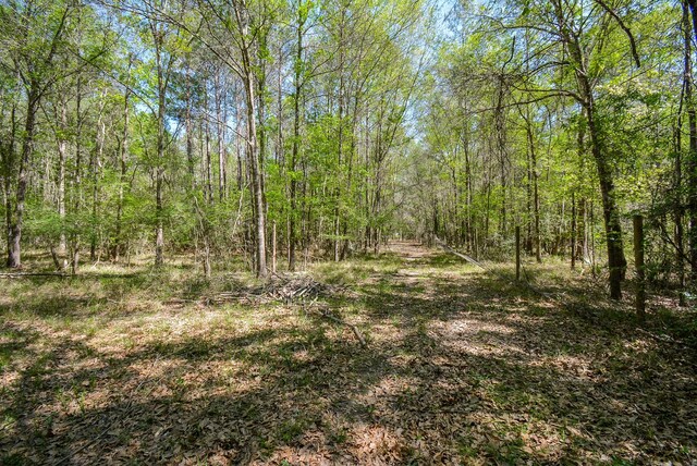 TBD Rainbow Ln, New Caney, TX 77357 - photo 10