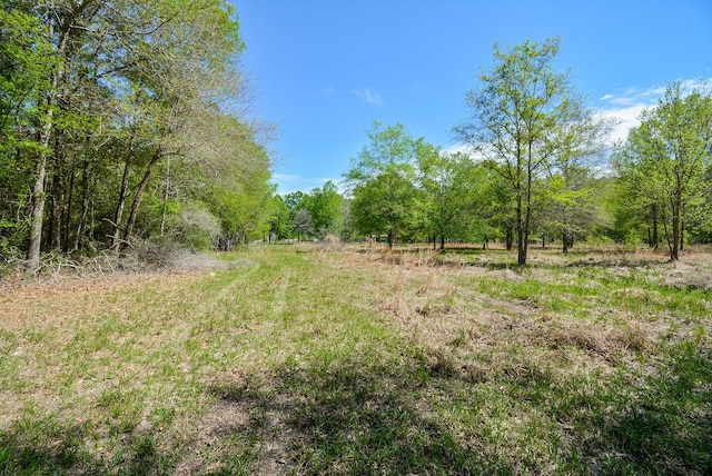 TBD Rainbow Ln, New Caney, TX 77357 - photo 11