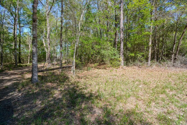 TBD Rainbow Ln, New Caney, TX 77357 - photo 13