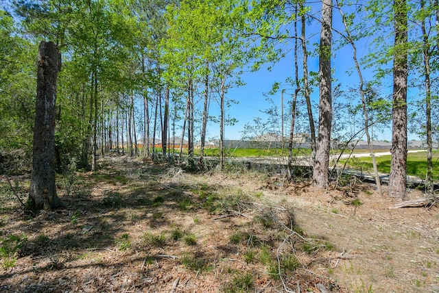 TBD Rainbow Ln, New Caney, TX 77357 - photo 14