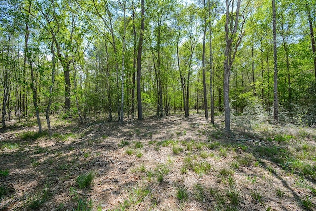TBD Rainbow Ln, New Caney, TX 77357 - photo 15