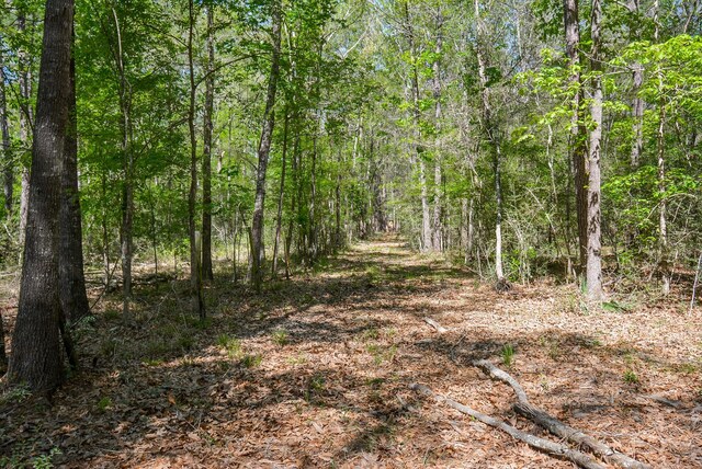 TBD Rainbow Ln, New Caney, TX 77357 - photo 17