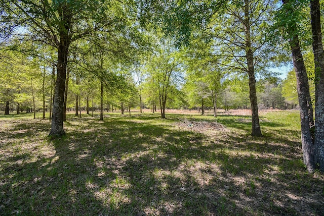 TBD Rainbow Ln, New Caney, TX 77357 - photo 18