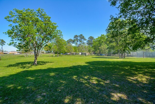 TBD Rainbow Ln, New Caney, TX 77357 - photo 5