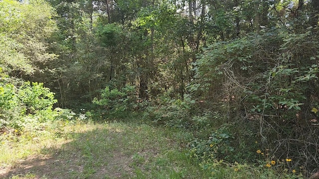 LOT5 Cedar Ct, Plantersville, TX 77363 - photo 1