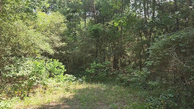 LOT5 Cedar Ct, Plantersville, TX 77363 - photo 3