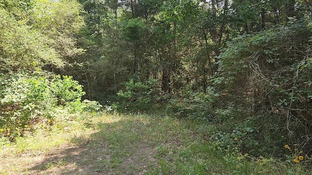 LOT5 Cedar Ct, Plantersville, TX 77363 - photo 4