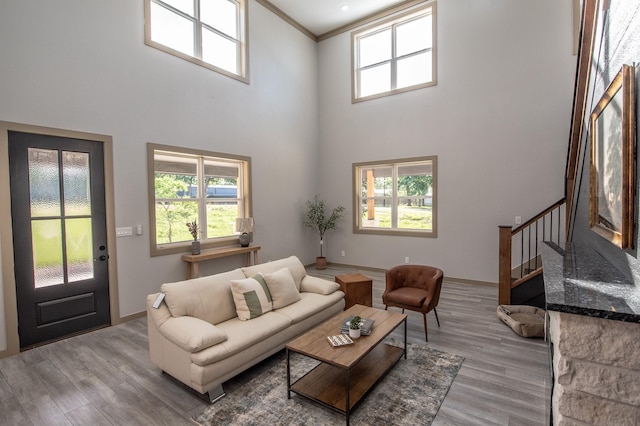 103 Whispering Oaks, Somerville, TX 77879 - living area with healthy amount of natural light, stairs, crown molding, wood finished floors, and a high ceiling