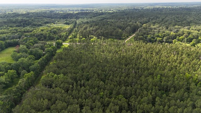 TBDFM350SOUTH Tract 8, Livingston, TX 77351 - photo 5