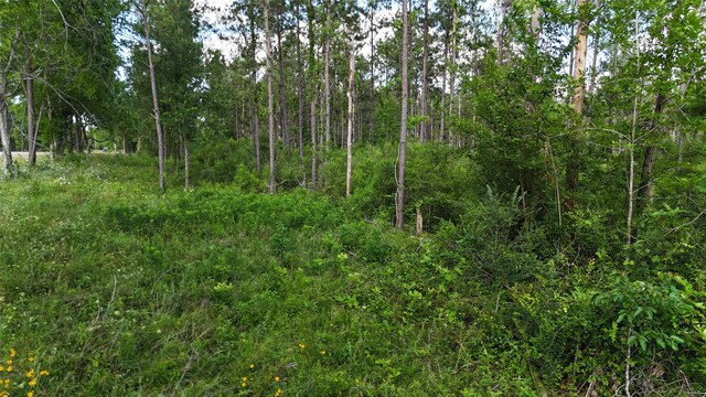 TBDFM350SOUTH Tract 8, Livingston, TX 77351 - photo 13