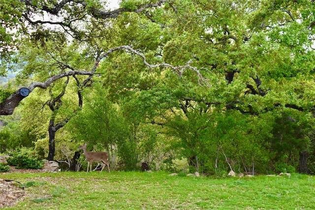 535 Canyon Rock Dr, Spring Branch, TX 78070
