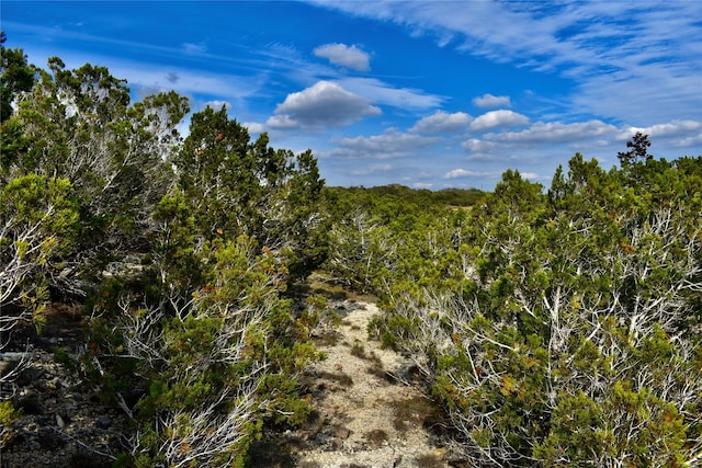 535 Canyon Rock Dr, Spring Branch, TX 78070
