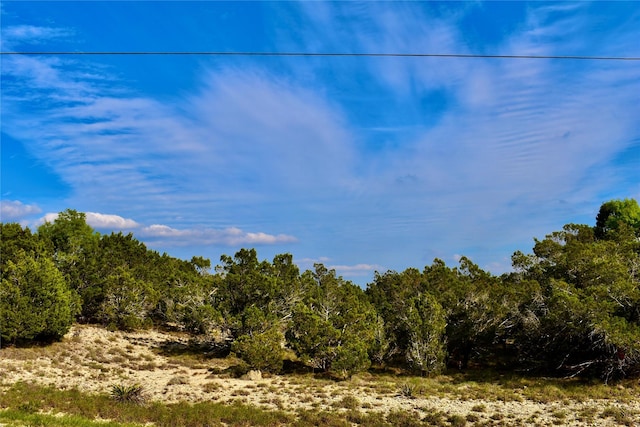 535 Canyon Rock Dr, Spring Branch, TX 78070