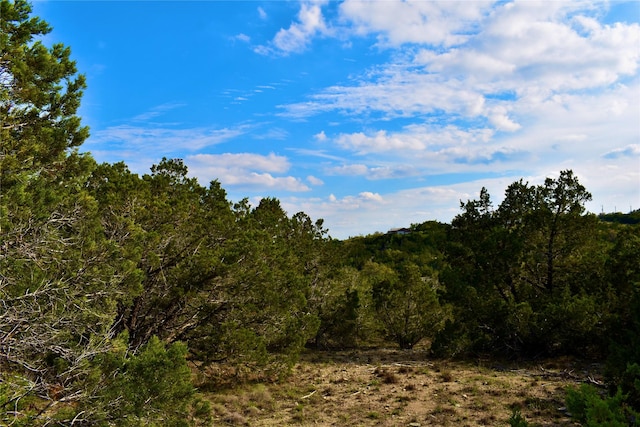 535 Canyon Rock Dr, Spring Branch, TX 78070