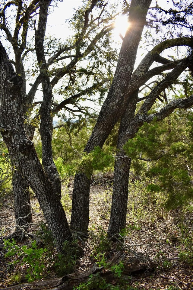 535 Canyon Rock Dr, Spring Branch, TX 78070