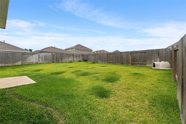 5732 Palm Flower Dr, Montgomery, TX 77316 - view of yard
