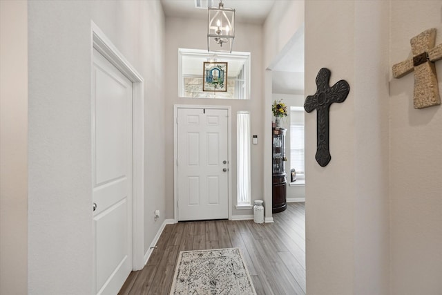 1010 Old Vine Rd, Brenham, TX 77833 - foyer with wood finished floors and baseboards