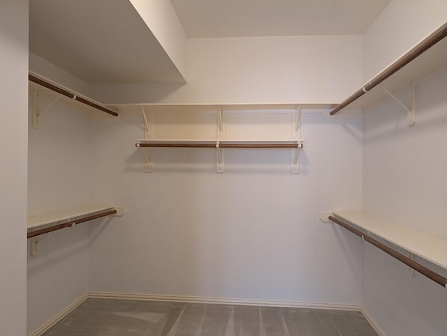 7222 Harmony Cv, Houston, TX 77036 - spacious closet with carpet flooring
