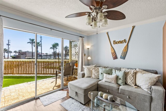 6300 Seawall Blvd Unit 9115, Galveston, TX 77551 - living area with crown molding, a ceiling fan, wood finished floors, and a textured ceiling