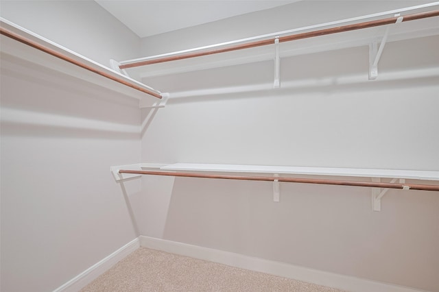 2902 Secluded Dr, Sugar Land, TX 77498 - walk in closet with carpet floors