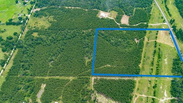00000 Fm 2989, Midway, TX 75852