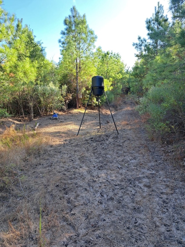 00000 Fm 2989, Midway, TX 75852